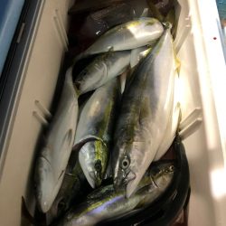 第二八坂丸 釣果