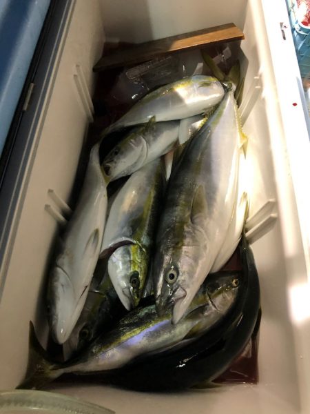 第二八坂丸 釣果