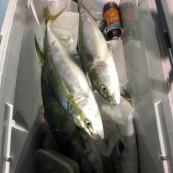 第二八坂丸 釣果