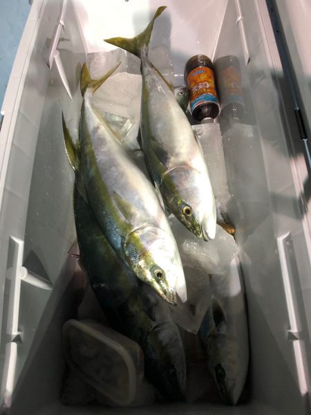 第二八坂丸 釣果