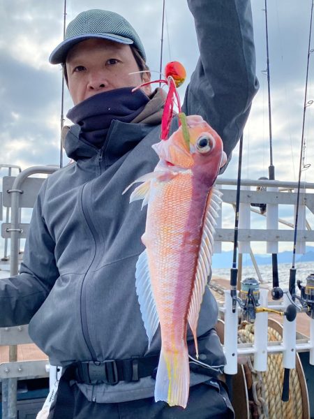 あみや渡船 JIGBOY 釣果