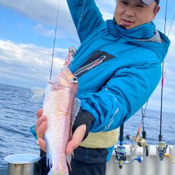 あみや渡船 JIGBOY 釣果