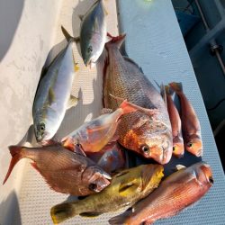 第二八坂丸 釣果