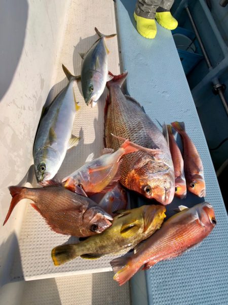 第二八坂丸 釣果