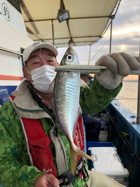 ヤザワ渡船 釣果