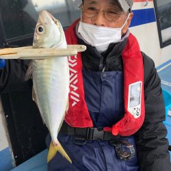 ヤザワ渡船 釣果