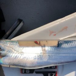 フィッシング キッタカ 釣果