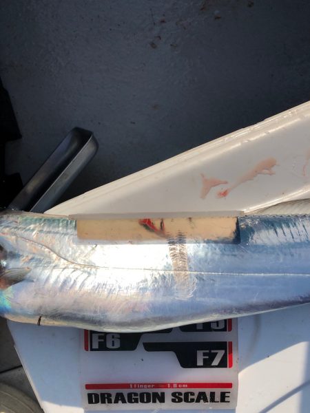 フィッシング キッタカ 釣果