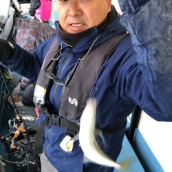 ヤザワ渡船 釣果