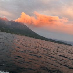 龍神丸(鹿児島) 釣果