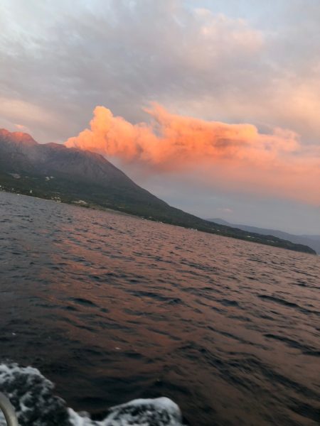 龍神丸(鹿児島) 釣果
