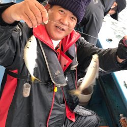 ヤザワ渡船 釣果