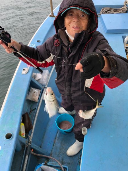 ヤザワ渡船 釣果