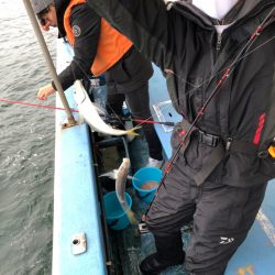 ヤザワ渡船 釣果