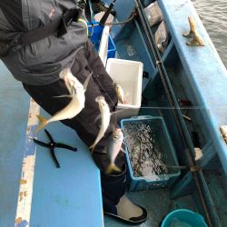 ヤザワ渡船 釣果