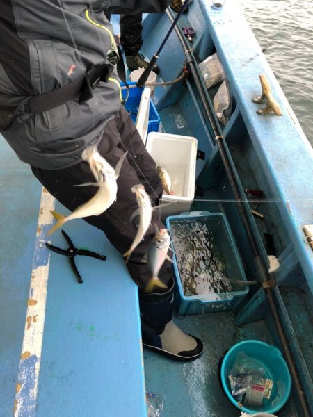 ヤザワ渡船 釣果