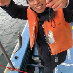 ヤザワ渡船 釣果