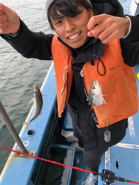 ヤザワ渡船 釣果