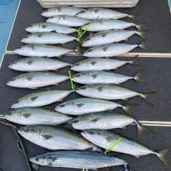 Monster Rush! 釣果