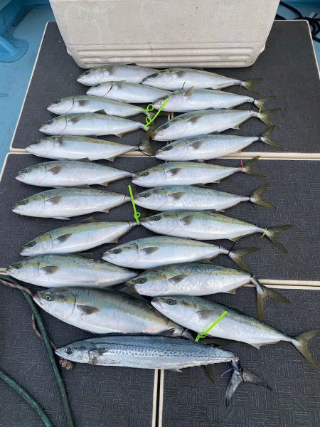 Monster Rush! 釣果