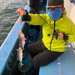 ヤザワ渡船 釣果