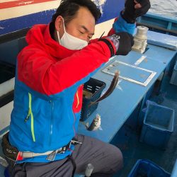 ヤザワ渡船 釣果