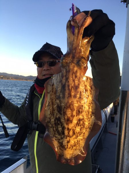渡船屋たにぐち 釣果