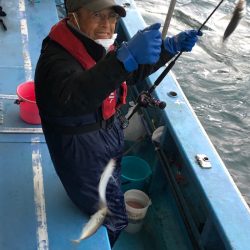 ヤザワ渡船 釣果