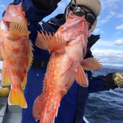 渡船屋たにぐち 釣果