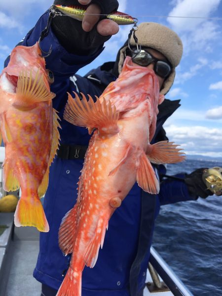 渡船屋たにぐち 釣果