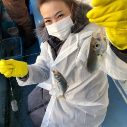 ヤザワ渡船 釣果