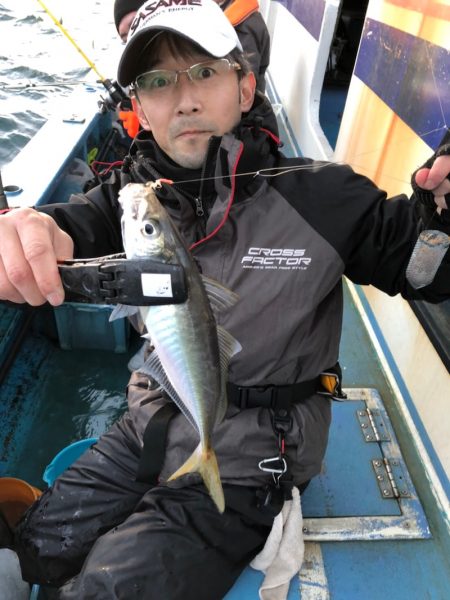 ヤザワ渡船 釣果