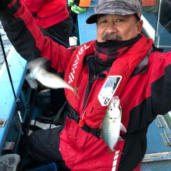 ヤザワ渡船 釣果