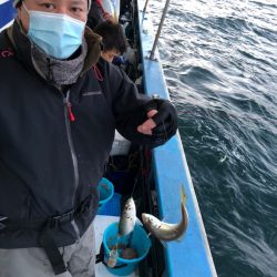 ヤザワ渡船 釣果
