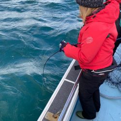 Monster Rush! 釣果