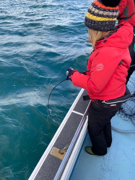 Monster Rush! 釣果