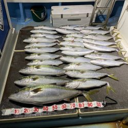 Monster Rush! 釣果