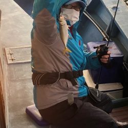 ヤザワ渡船 釣果