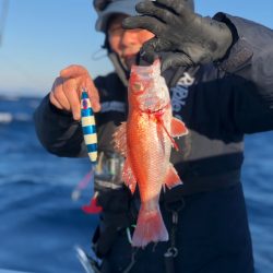 丸万釣船 釣果