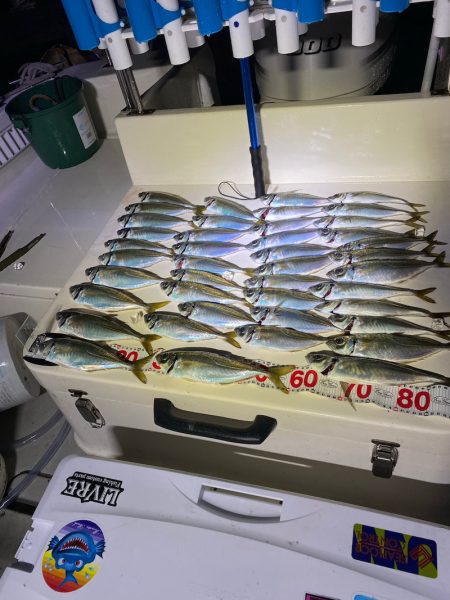 Monster Rush! 釣果