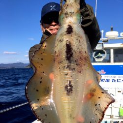 渡船屋たにぐち 釣果