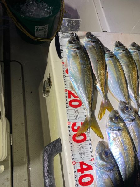 Monster Rush! 釣果