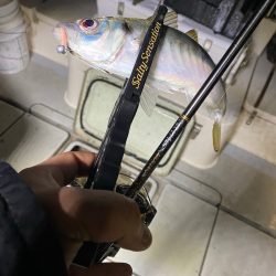 Monster Rush! 釣果