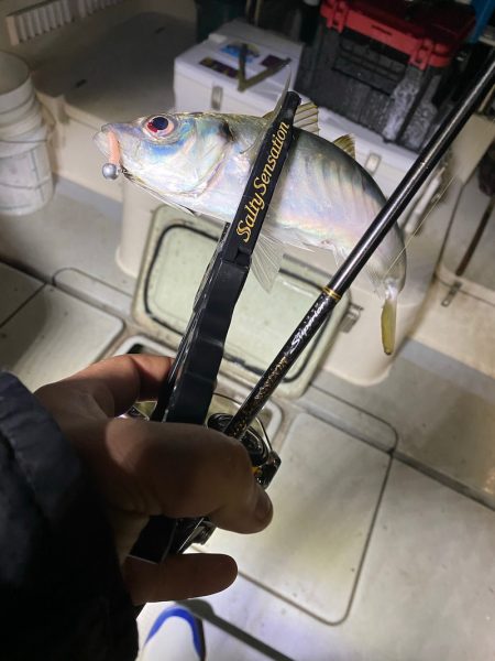 Monster Rush! 釣果