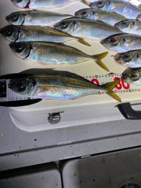 Monster Rush! 釣果