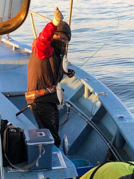 ヤザワ渡船 釣果