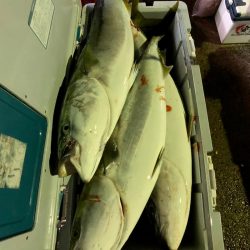 第二八坂丸 釣果