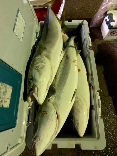 第二八坂丸 釣果