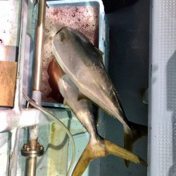 第二八坂丸 釣果