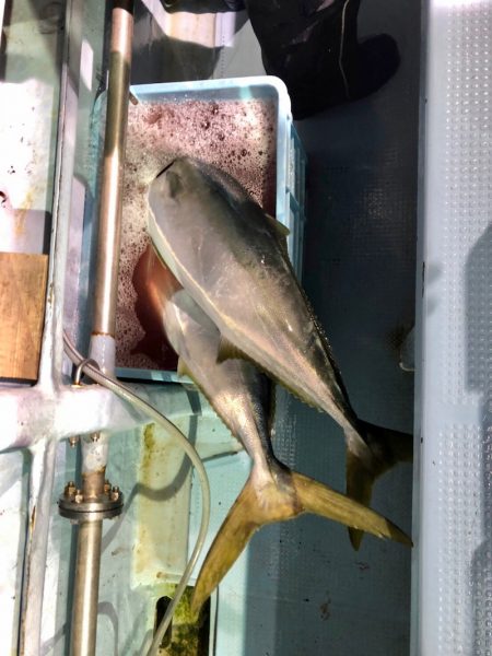 第二八坂丸 釣果